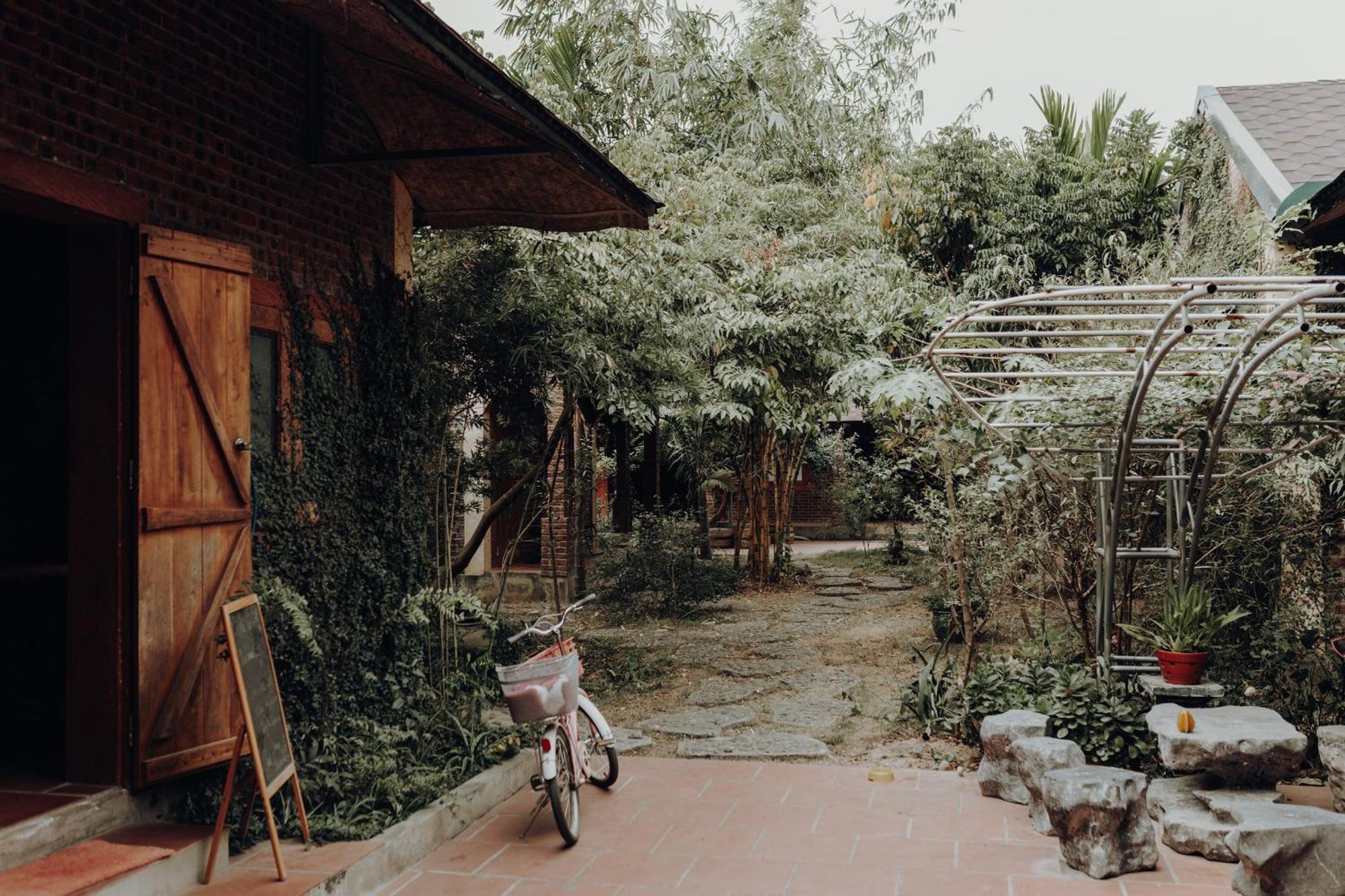 Ninh Binh Palm Homestay Exteriér fotografie