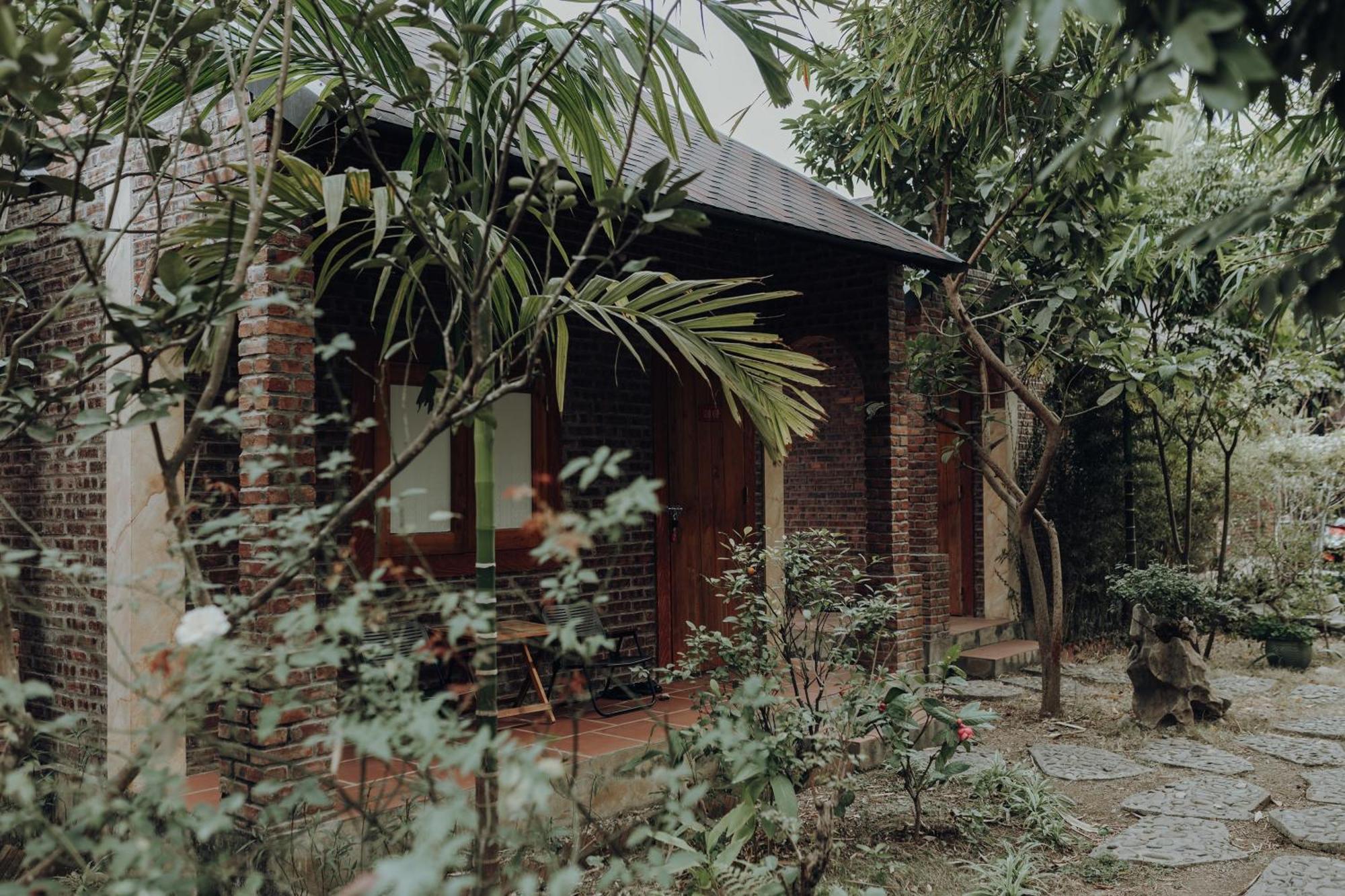Ninh Binh Palm Homestay Exteriér fotografie