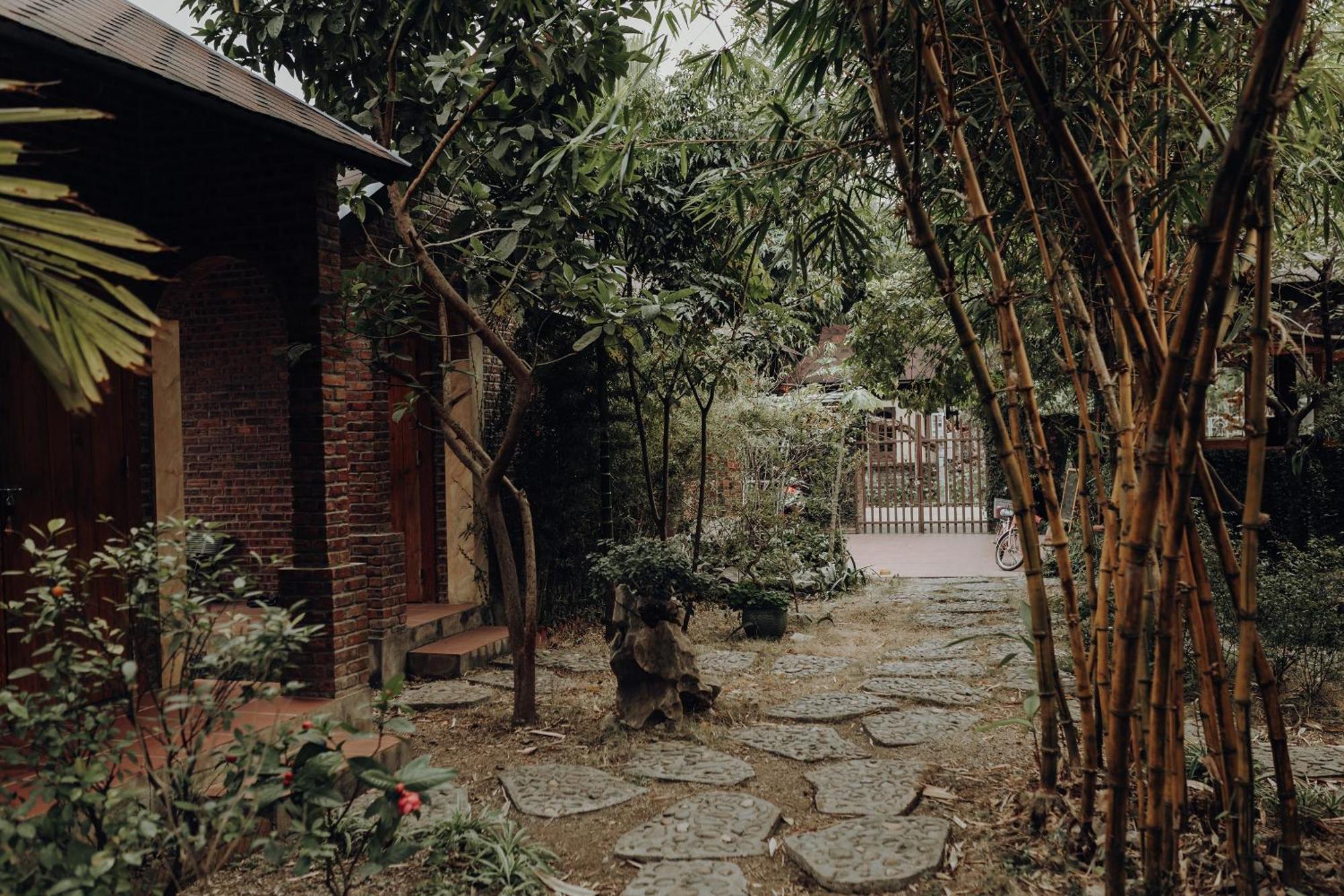 Ninh Binh Palm Homestay Exteriér fotografie
