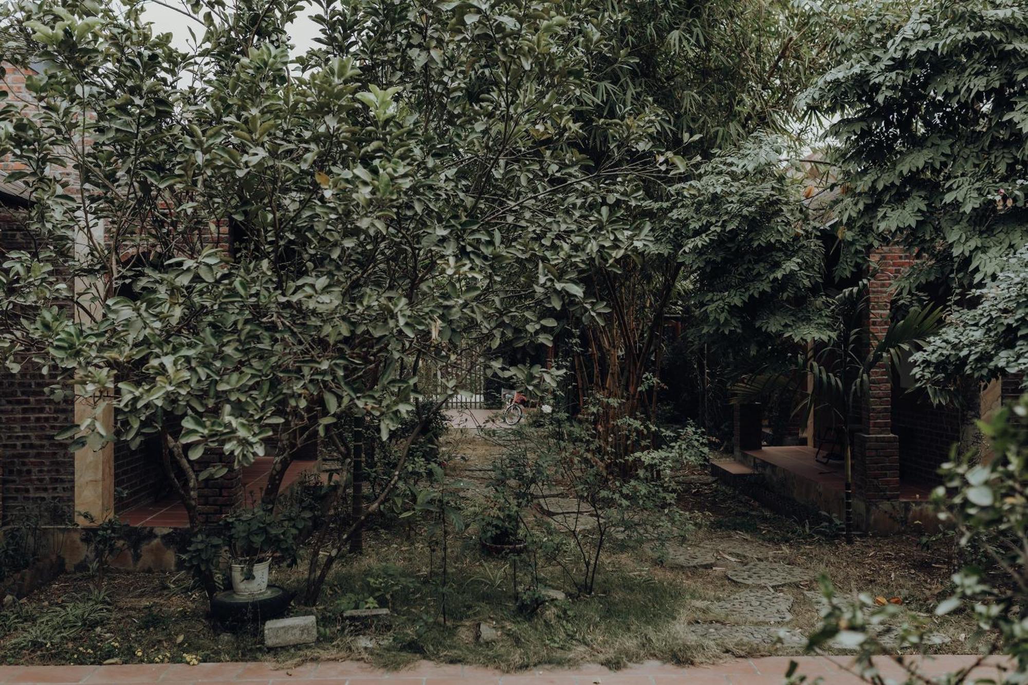 Ninh Binh Palm Homestay Exteriér fotografie