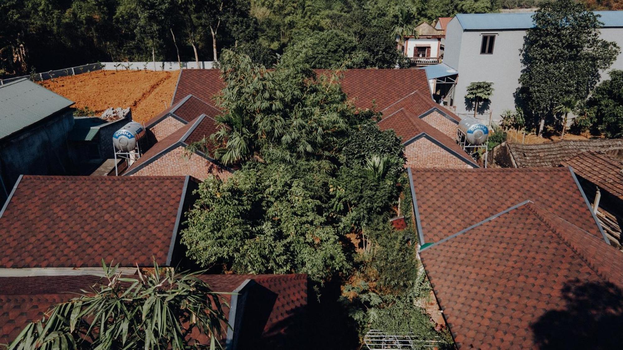 Ninh Binh Palm Homestay Exteriér fotografie